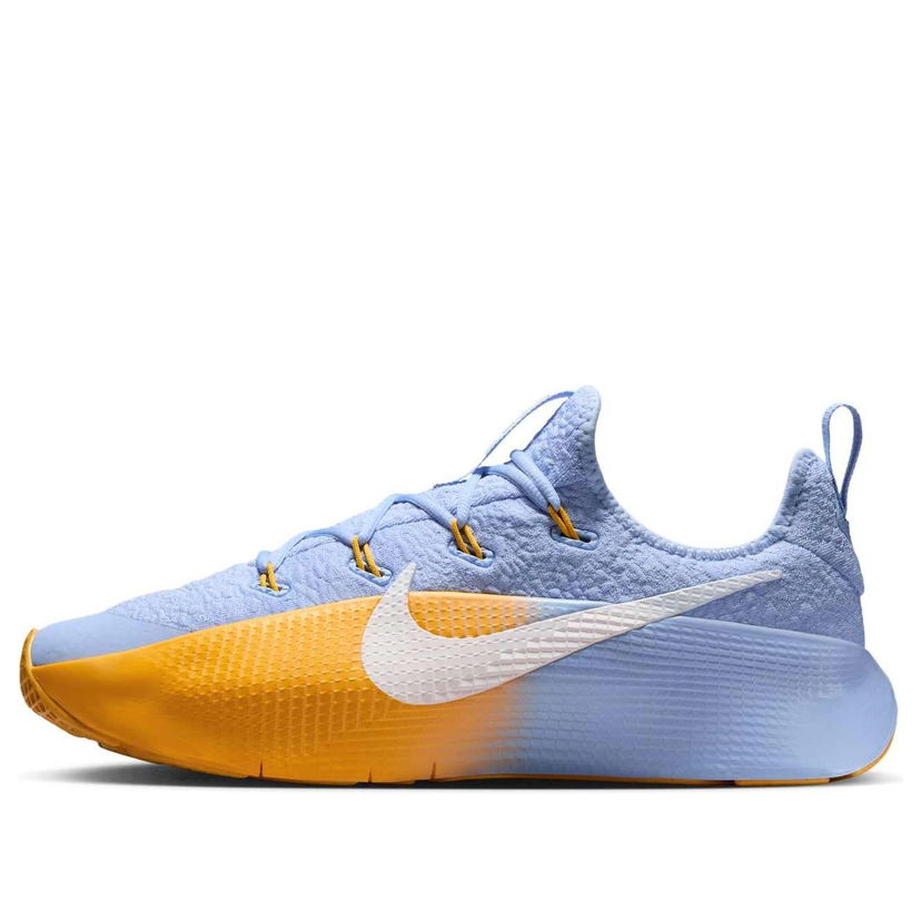Sneakers og sko Nike LeBron TR 1 'Aluminium University Gold' Flerfarvet | FJ6151-401