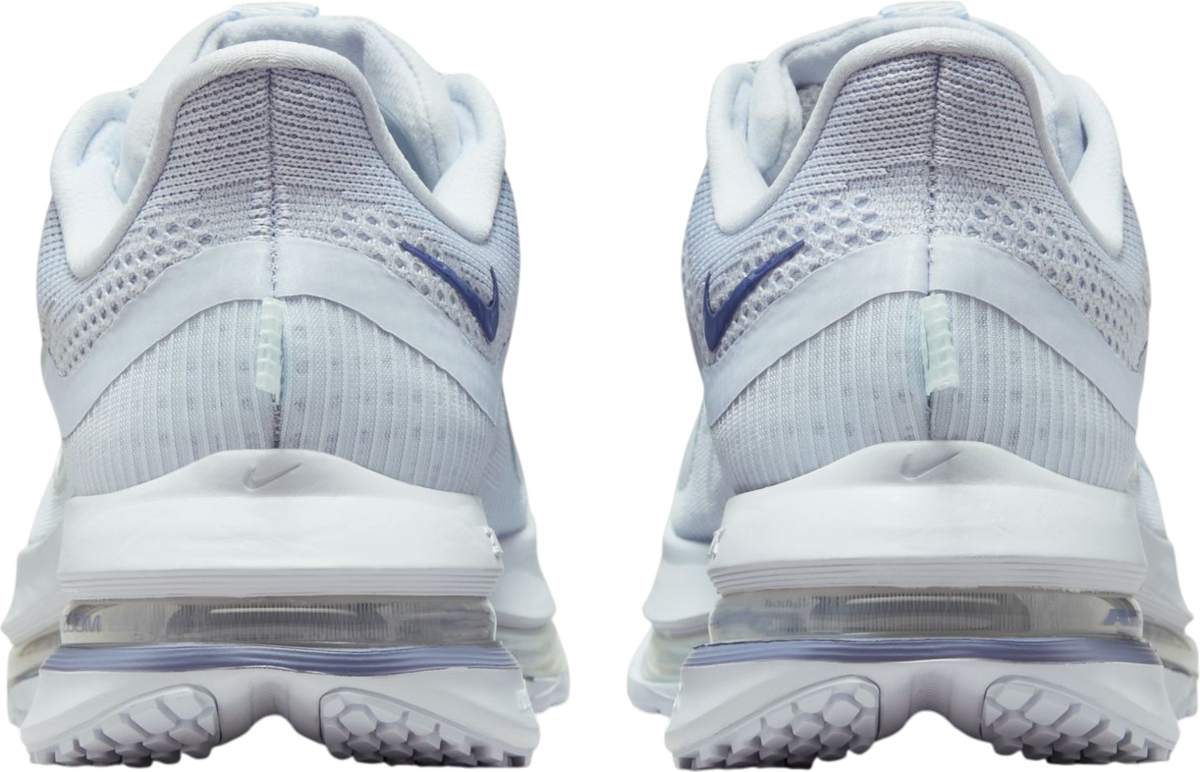 Sneakers og sko Nike Pegasus Premium Blå | hq2593-006, 1