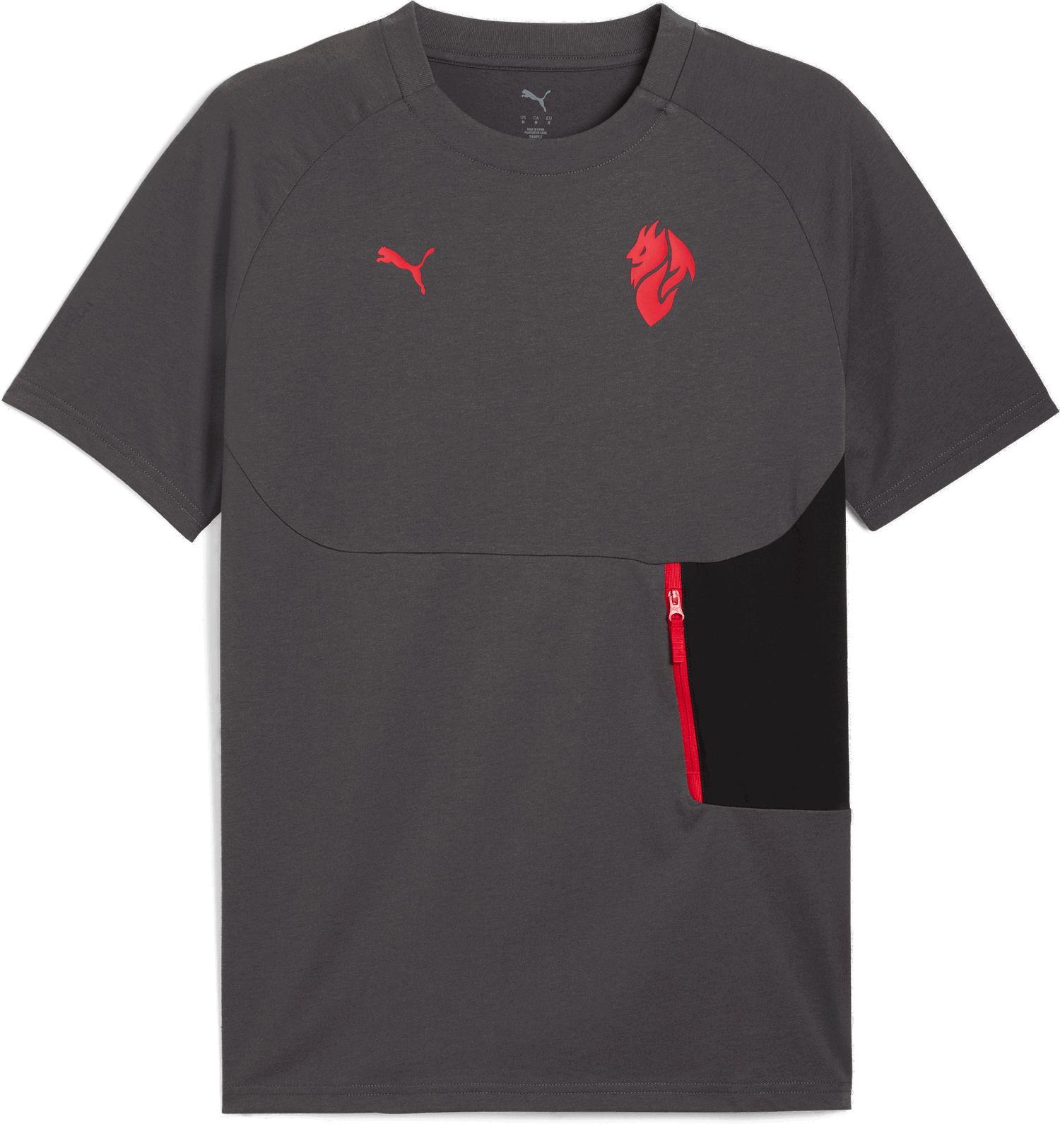 T-shirt Puma AC Milan TECH Pocket T-Shirt Grå | 782393-15, 0