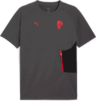 T-shirt Puma AC Milan TECH Pocket T-Shirt Grå | 782393-15, 0