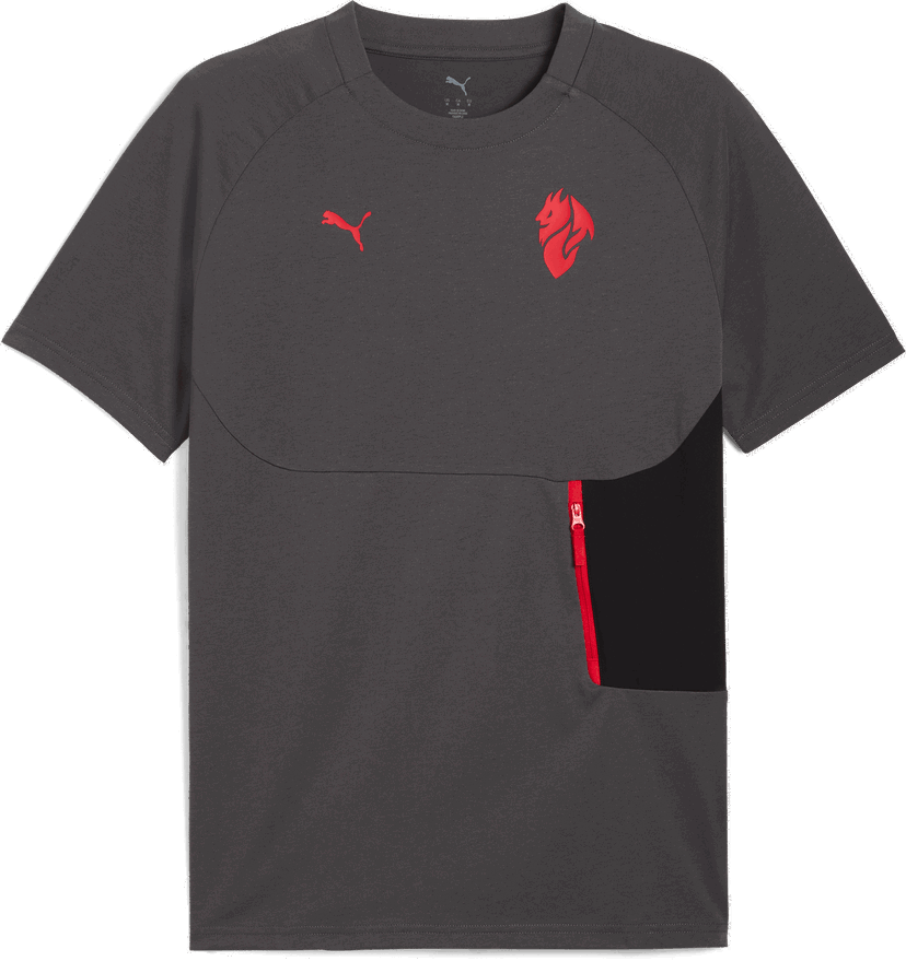T-shirt Puma AC Milan TECH Pocket T-Shirt Grå | 782393-15