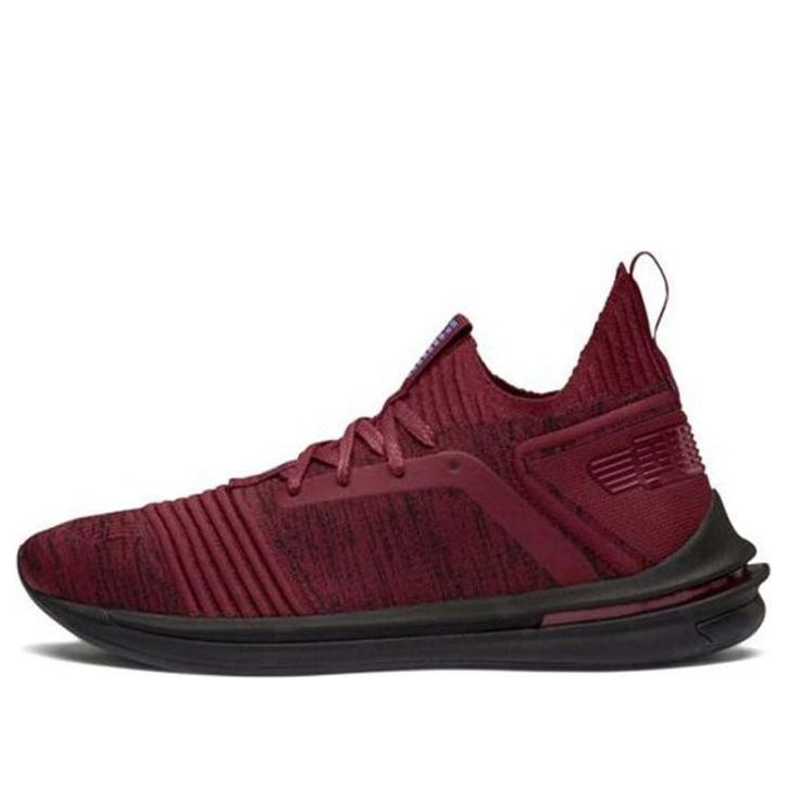 Sneakers og sko Puma Ignite Limitless Sr Evoknit Rød | 190484-08, 0