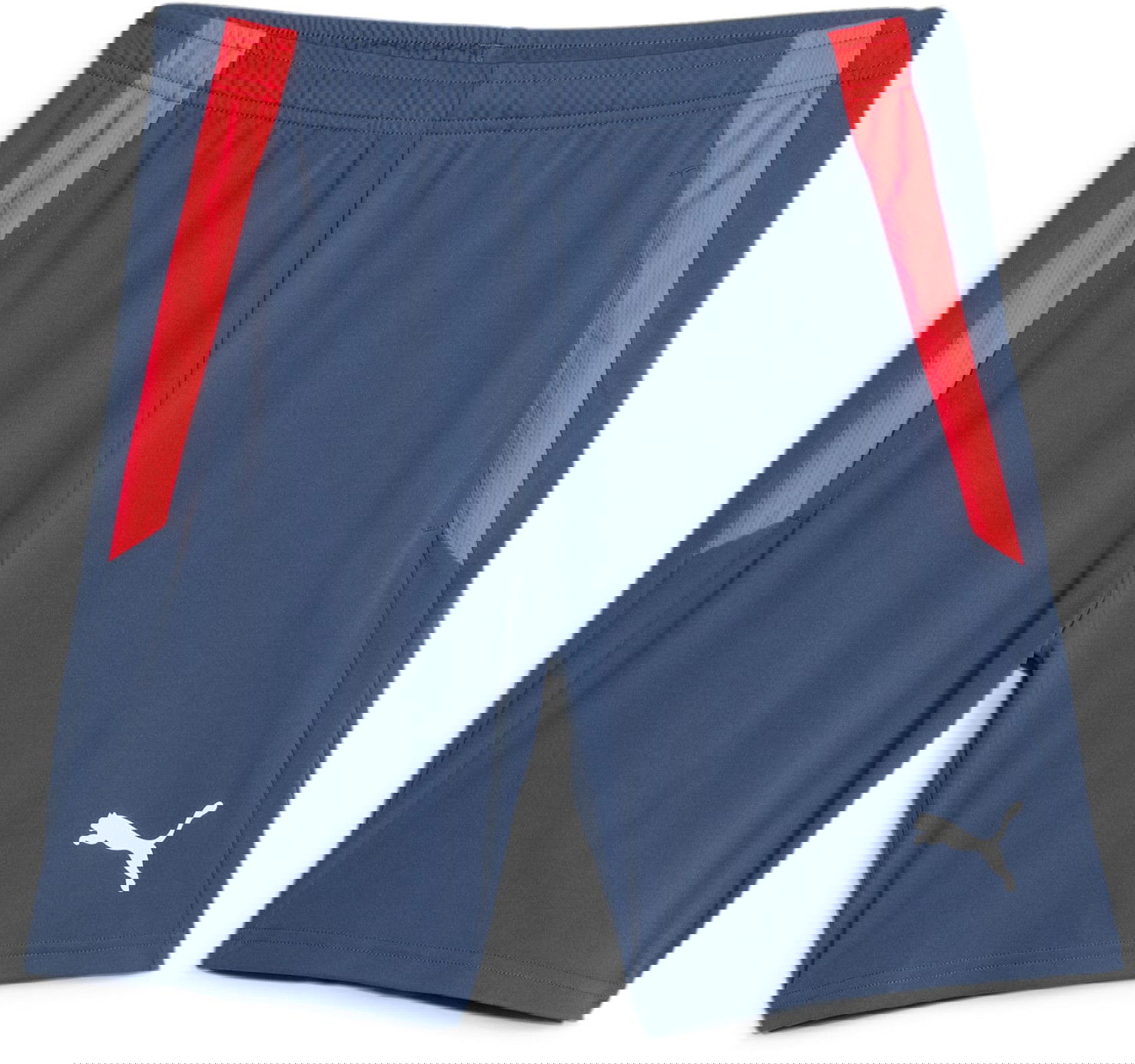 Shorts Puma teamLIGA Training Shorts Mørkeblå | 657667-53, 0
