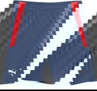 teamLIGA Training Shorts