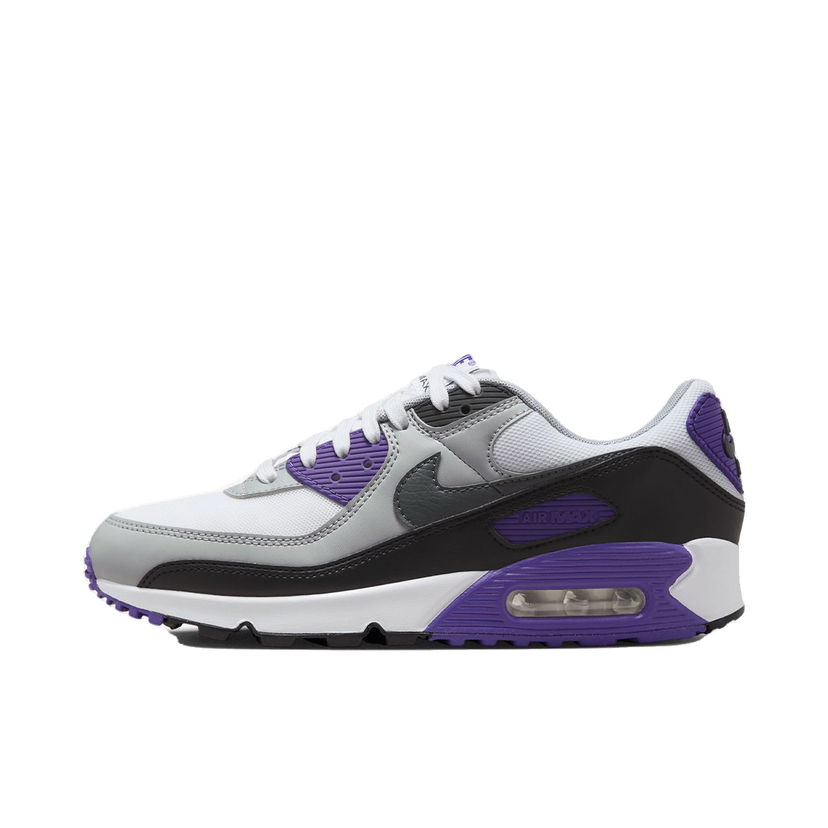 Sneakers og sko Nike Air Max 90 NN Lilla | DH8010-110