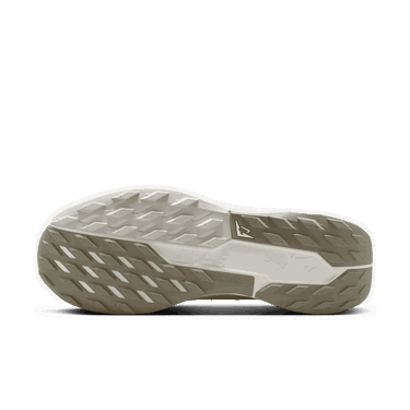 Sneakers og sko Nike Pegasus Trail 5 GORE-TEX Beige | FQ0908-008, 3