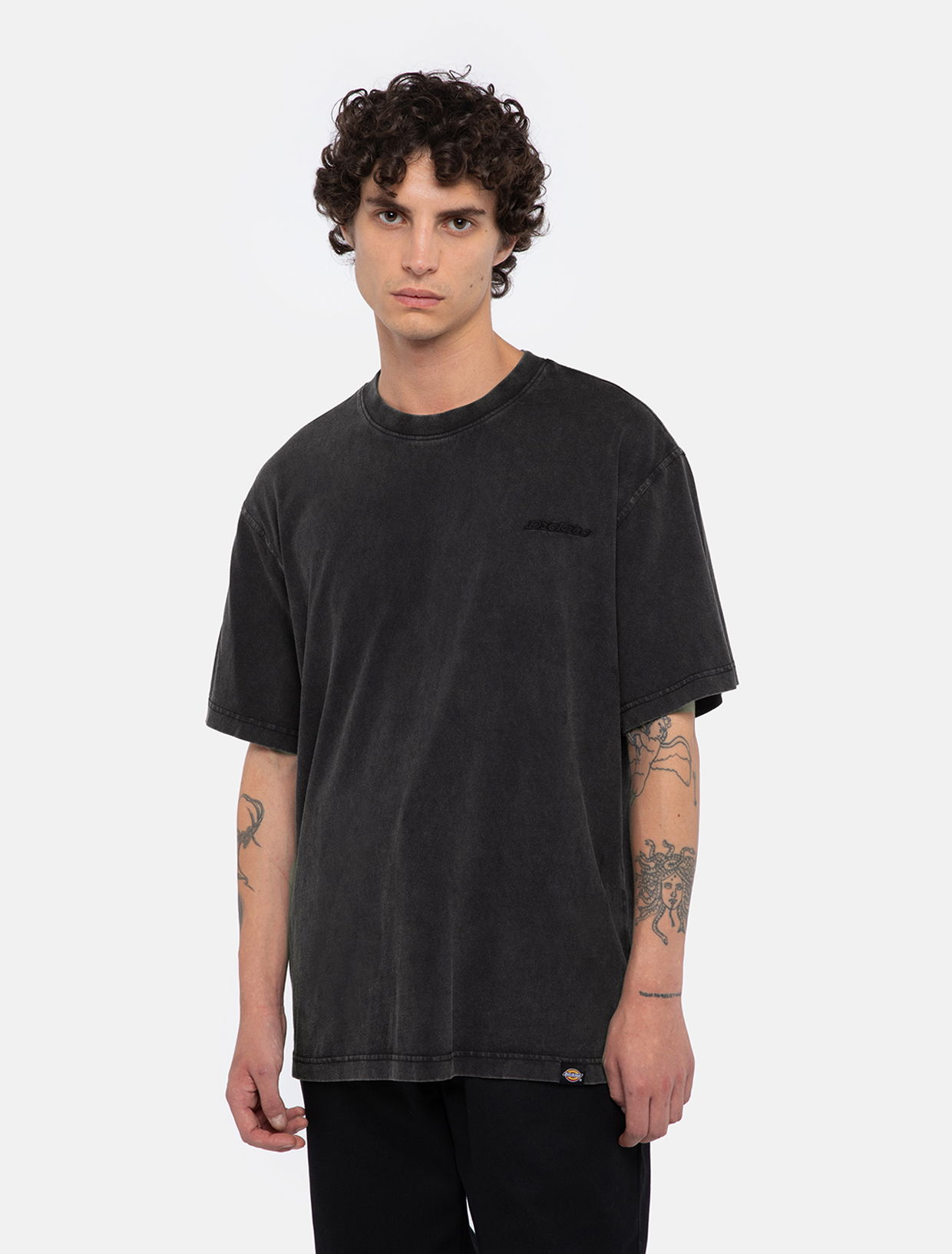 T-shirt Dickies Plentywood T-Shirt Sort | 0A866B, 0