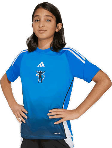 Jersey adidas Originals JB Gradient Stripe AEROREADY Training Jersey Flerfarvet | JX3939, 2