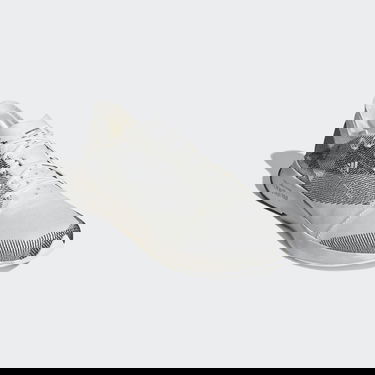Sneakers og sko adidas Performance Allbirds x Adizero 2.94 KG CO2E Grå | GZ4282, 5