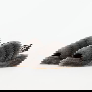 Sneakers og sko UGG Fluff Yeah "Charcoal" W Grå | 1095119-CHRC, 5