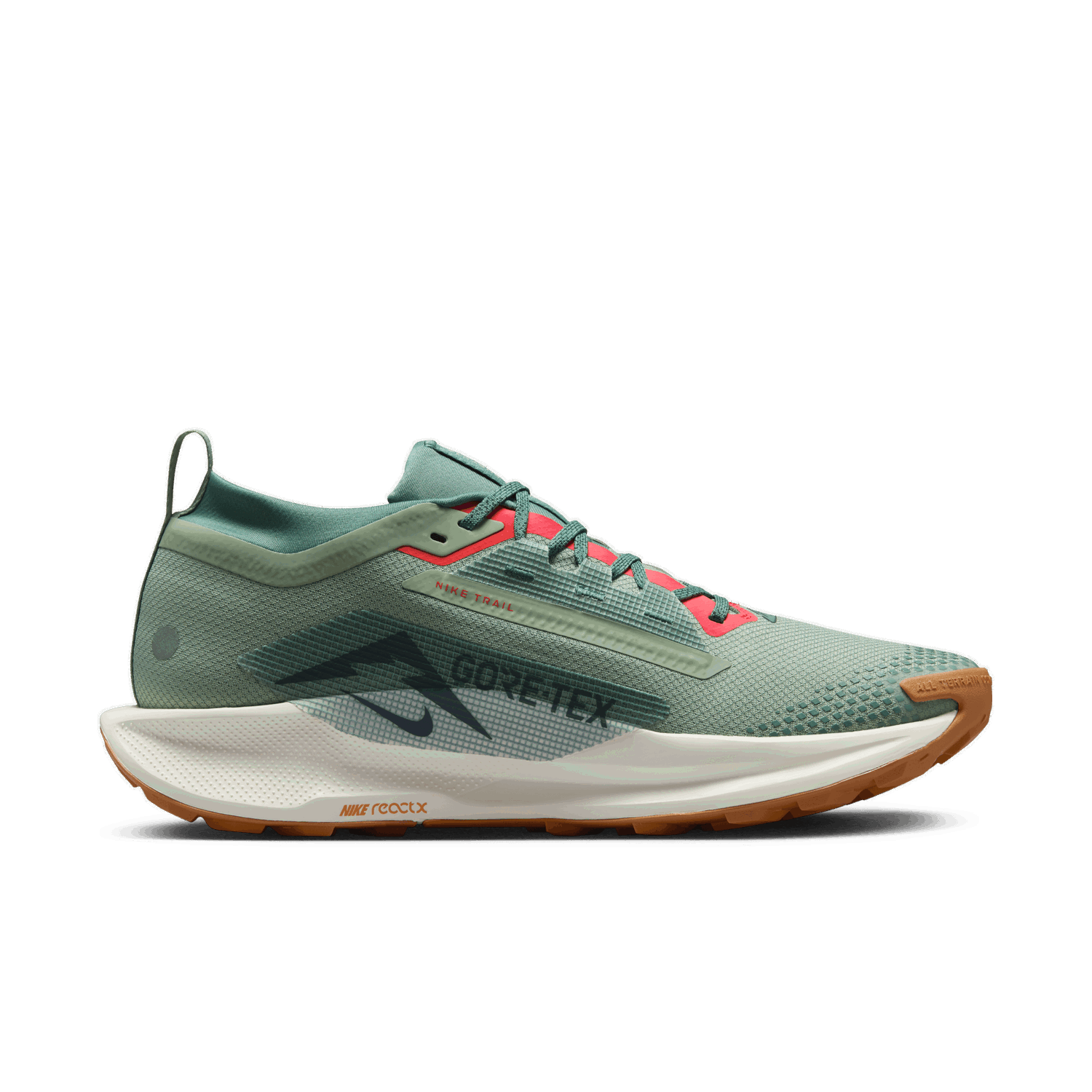 Sneakers og sko Nike Pegasus Trail 5 GORE-TEX Grøn | FQ0908-300, 1