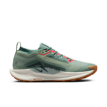 Sneakers og sko Nike Pegasus Trail 5 GORE-TEX Grøn | FQ0908-300, 1