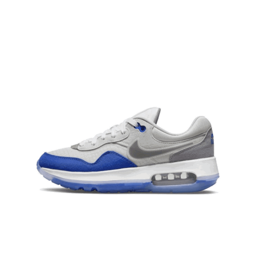 Sneakers og sko Nike Air Max Motif Grå | DH9389-400