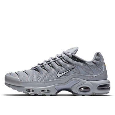 Sneakers og sko Nike Air Max Plus Grå | 852630 021, 4