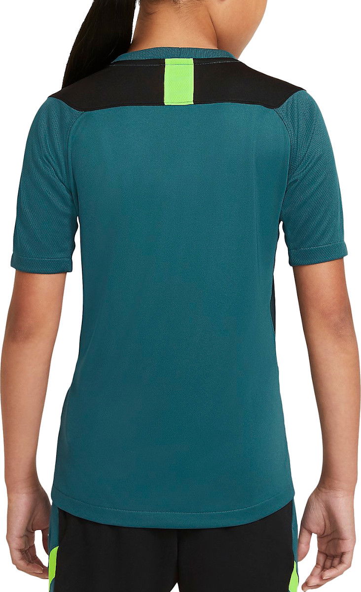 T-shirt Nike Nike Dri-FIT Academy T-Shirt Grøn | cv1471-393, 1