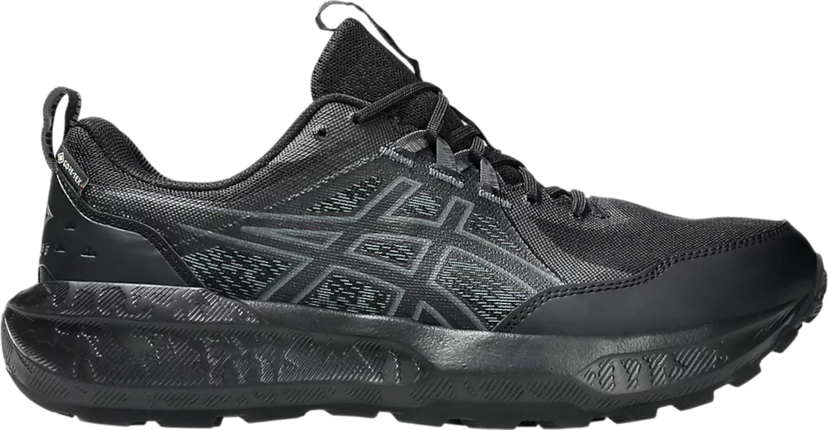 Sneakers og sko Asics GEL-SONOMA 8 GTX Sort | 1011b977-002