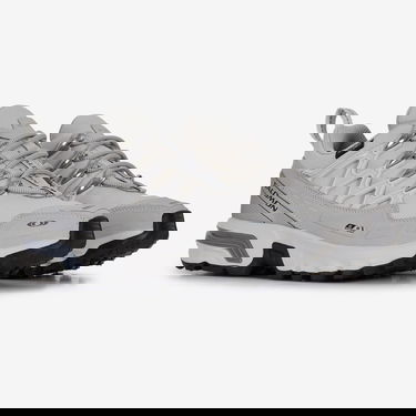 Sneakers og sko Salomon Acs + CSWP Grå | L47308200, 1