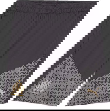 Shorts Puma Olympique Marseille Training Shorts Grå | 771930-042, 0