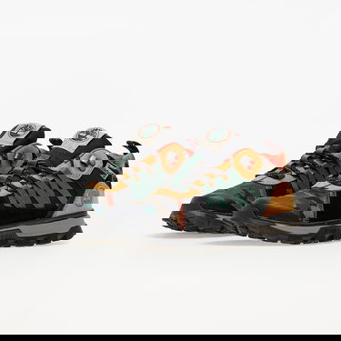 Sneakers og sko Timberland Treeline STR Low Sort | TB0A2EKN2311, 5