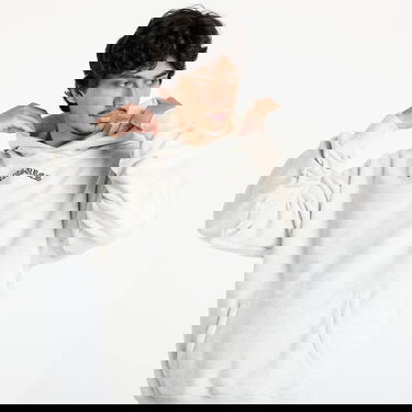 Sweatshirt Pleasures PLEASURES Neural Hoodie Grå | P25SU010 GREY, 1