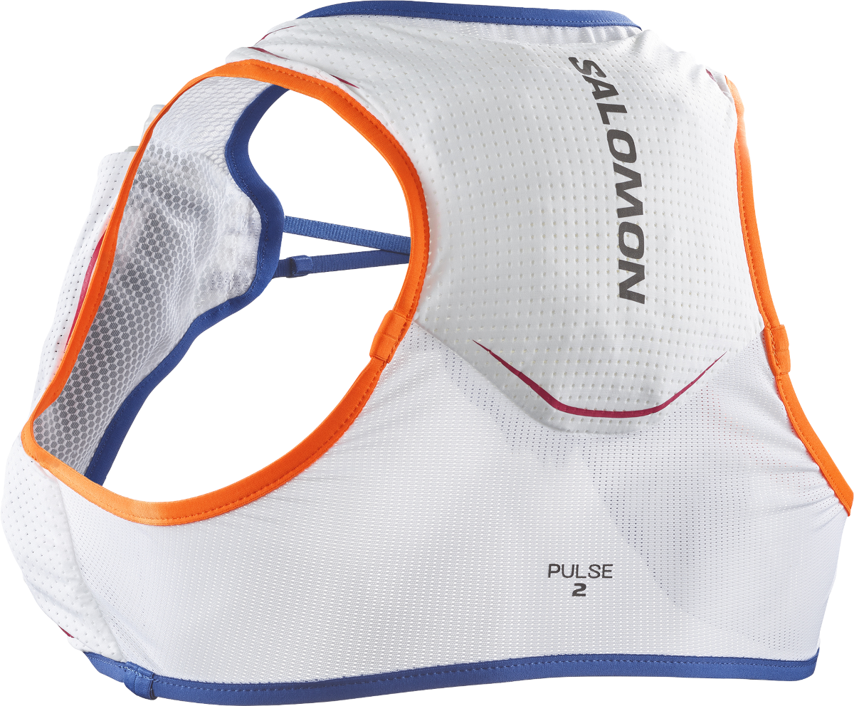 Rygsæk Salomon PULSE 2 SET Grå | lc2176900, 0