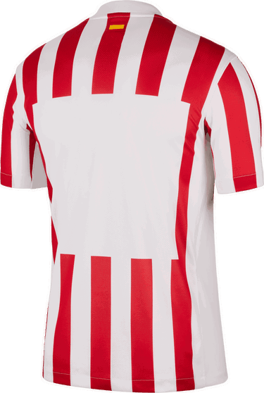 Jersey Nike Nike ATM 2025/26 Stadium Home Jersey Rød | hj4587-615, 1