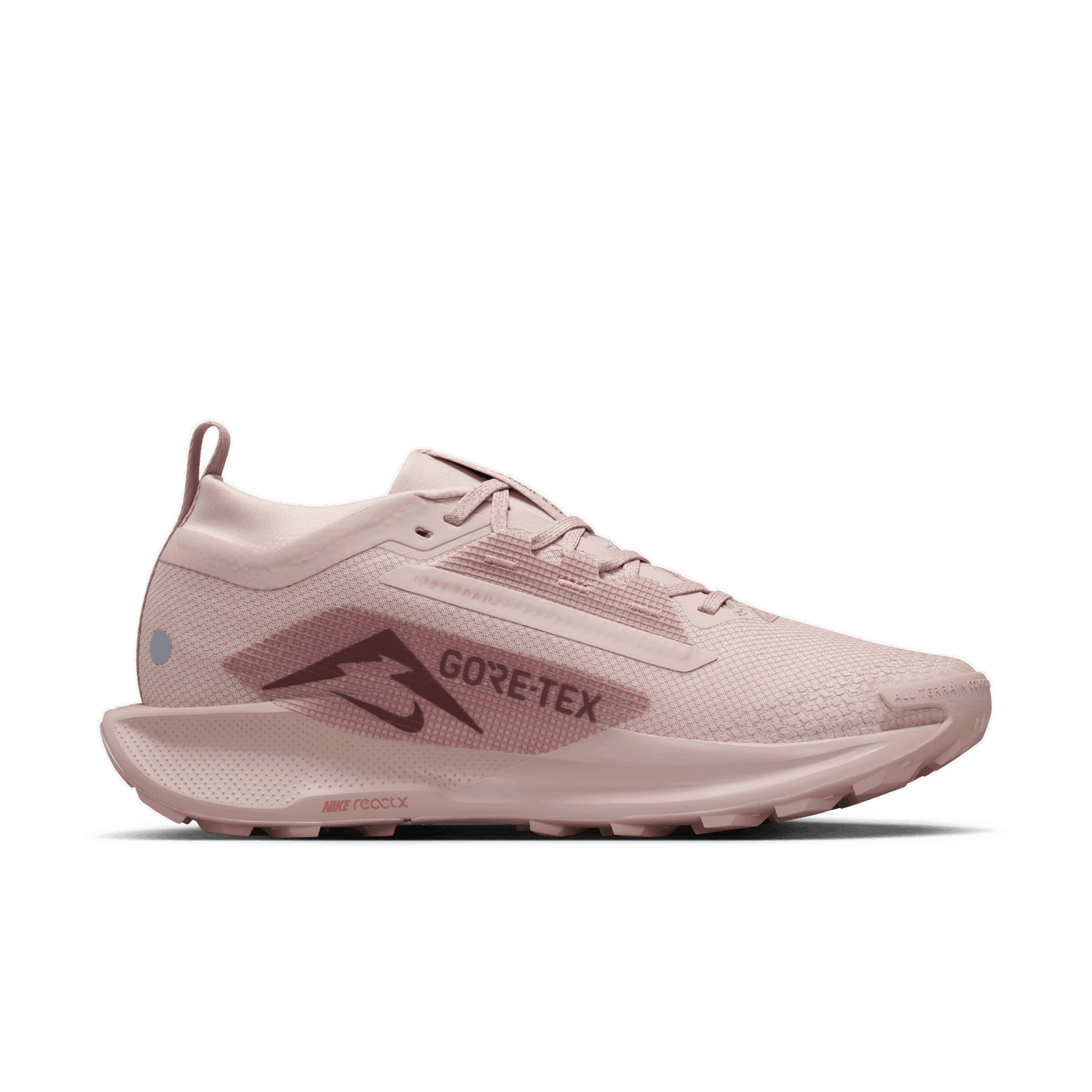 Sneakers og sko Nike Pegasus Trail 5 GTX Lyserød | FQ0912-601, 1