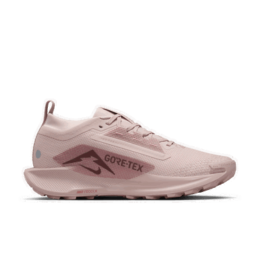 Sneakers og sko Nike Pegasus Trail 5 GTX Lyserød | FQ0912-601, 1