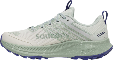 Sneakers og sko Saucony Saucony RIDE TR2 GTX Grøn | s10953-260, 1