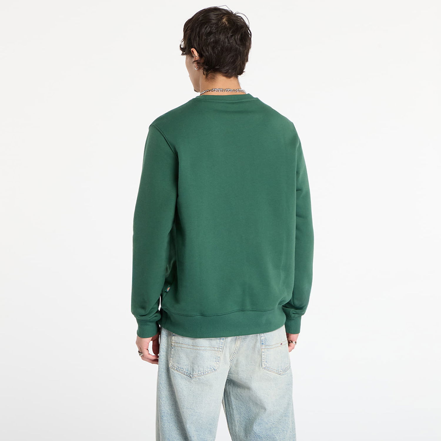Sweatshirt Dickies Oakport Sweatshirt Grøn | 0A4XCE-PINE-NEEDLE-GRE, 1