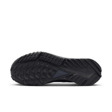 Sneakers og sko Nike trailové boty Pegasus Trail 4 GORE-TEX Sort | FZ4343-400, 4