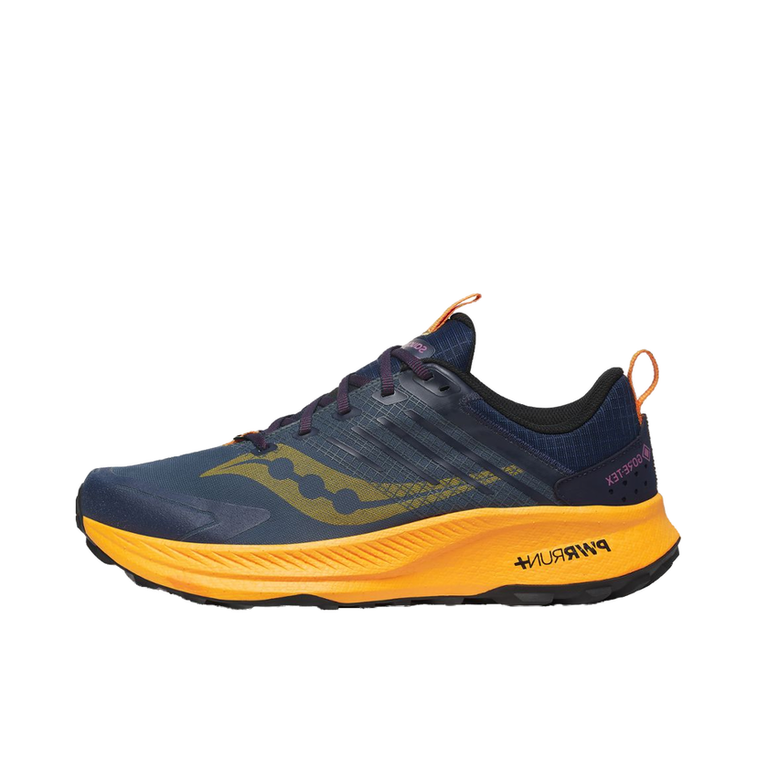Løbe Saucony Ride TR2 GTX Blå | S20953-251