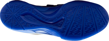 Sneakers og sko Nike KD 4 Blå | fz3540-400, 2