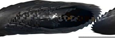 Sneakers og sko adidas Performance COPA PURE 2 ELITE FG Sort | ig6404, 1