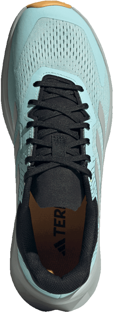 Sneakers og sko adidas Performance TERREX SOULSTRIDE FLOW Turkis | if5004, 1