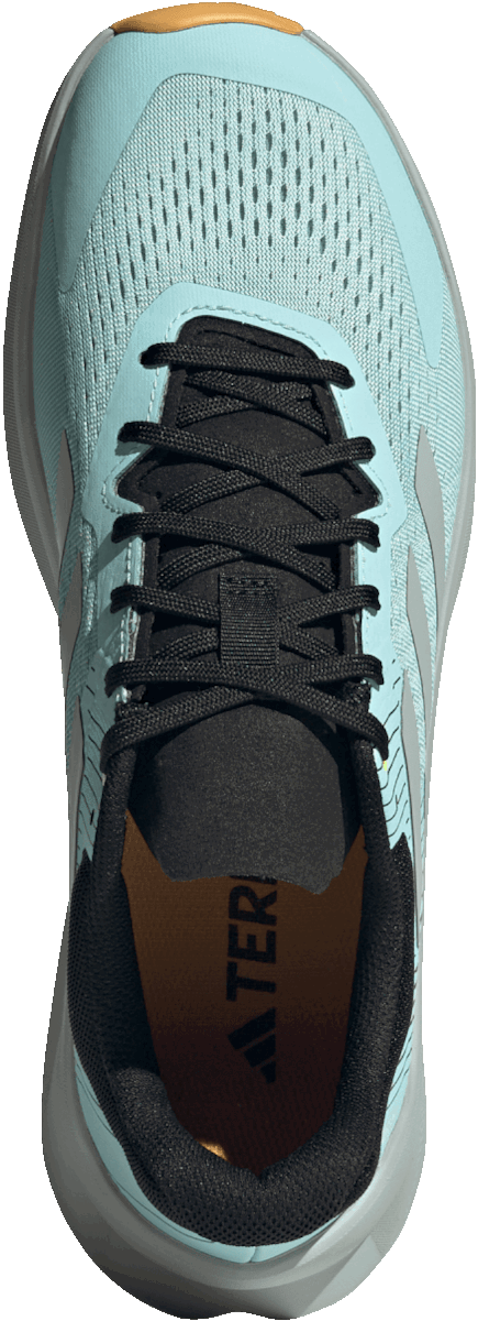 Sneakers og sko adidas Performance TERREX SOULSTRIDE FLOW Turkis | if5004, 1