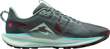 Sneakers og sko Nike Pegasus Trail 5 Flerfarvet | dv3864-302, 3