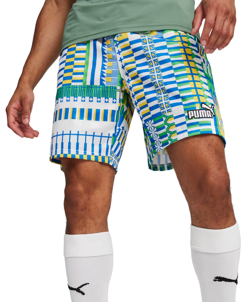 Shorts Puma FanwearCapsule Short Flerfarvet | 658967-15