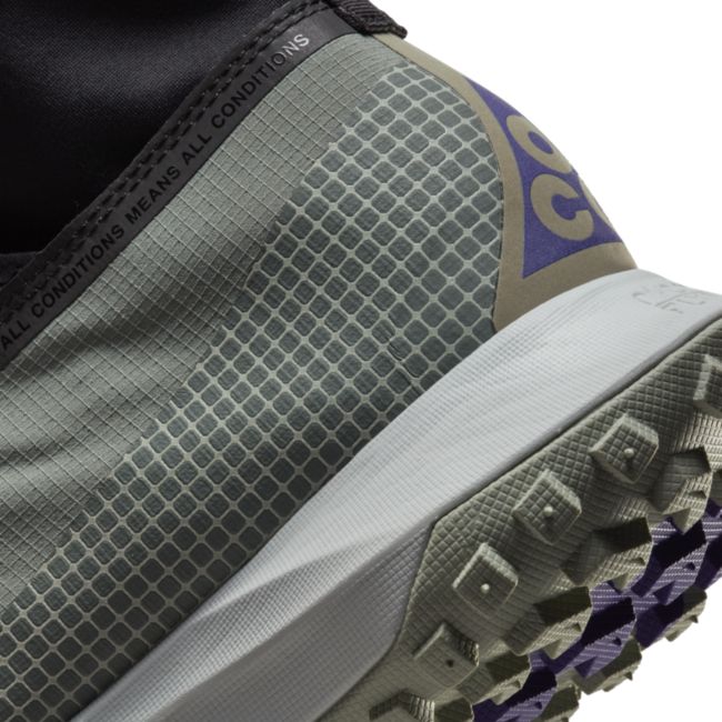 Sneakers og sko Nike ACG Mountain Fly GTX Grå | CT2904-300, 1