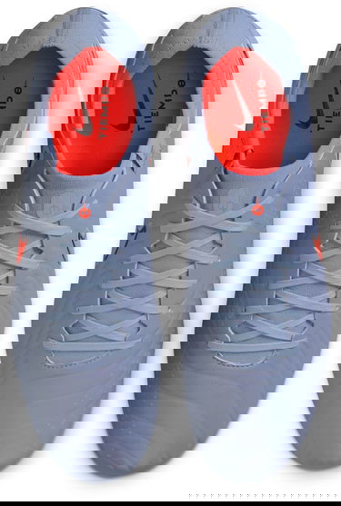 Sneakers og sko Nike LEGEND 10 PRO FG Grå | dv4333-402, 7
