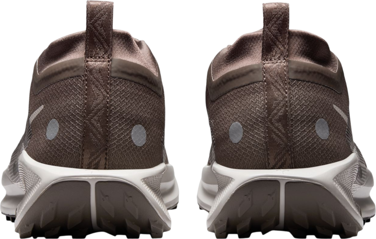 Sneakers og sko Nike Pegasus Trail 5 GORE-TEX Brun | fq0908-012, 1