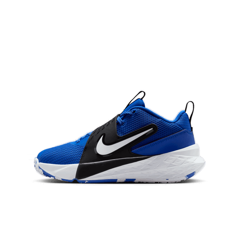 Sneakers og sko Nike Nike Team Hustle D 12 Blå | HF6279-400