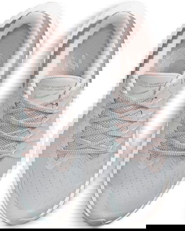 Sneakers og sko Nike Winflo 8 Premium W Grå | da3056-001, 3