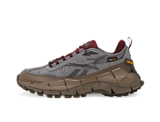 Løbe Reebok Zig Kinetica 2.5 Edge "Pure Grey 5/ Track Grey/ Pure Grey" Grå | 100034215