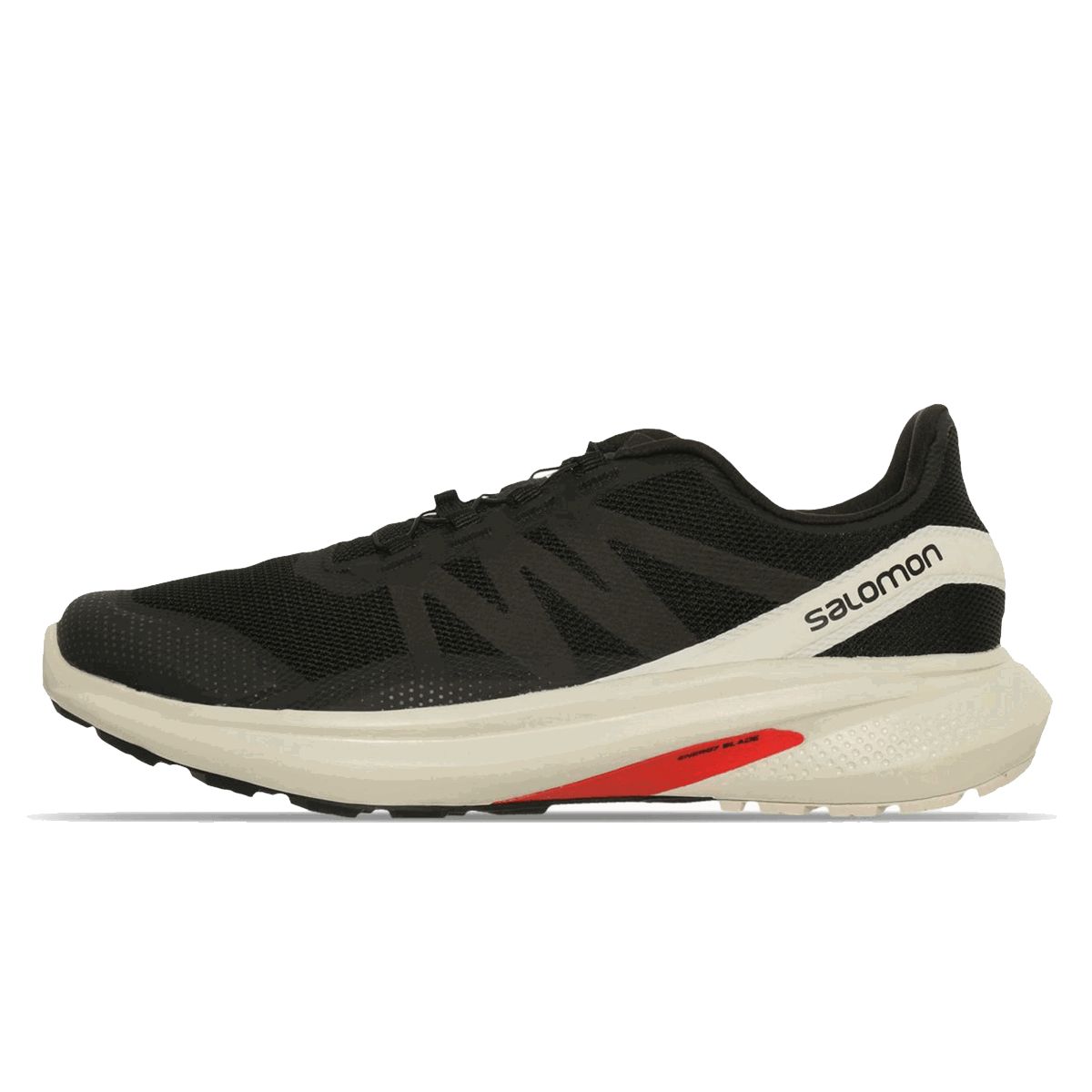 Sneakers og sko Salomon HYPULSE Sort | L41684900, 0