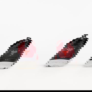 Sneakers og sko Under Armour Project Rock 4 Rød | 3023695-600, 3
