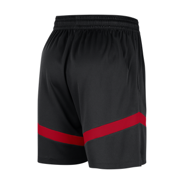 Shorts Nike Dri-FIT NBA Chicago Bulls Icon Practice Sort | FB4018-010, 2