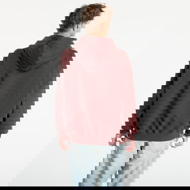 Sweatshirt Y-3 Fl Hoodie UNISEX Mystery Brown L Brun | KA3111, 3