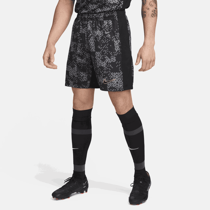 Shorts Nike Dri-FIT Academy Pro Grå | FN2413-069