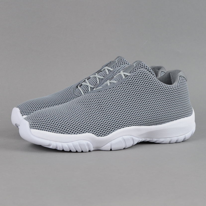 Sneakers og sko Jordan Jordan Future Low Grå | 718948-003